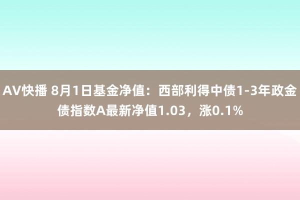 AV快播 8月1日基金净值：西部利得中债1-3年政金债指数A最新净值1.03，涨0.1%