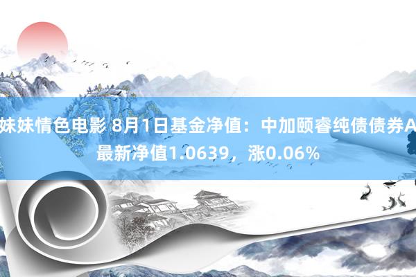 妹妹情色电影 8月1日基金净值：中加颐睿纯债债券A最新净值1.0639，涨0.06%