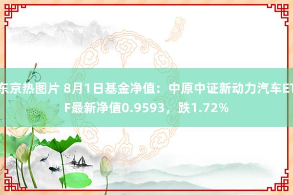 东京热图片 8月1日基金净值：中原中证新动力汽车ETF最新净值0.9593，跌1.72%