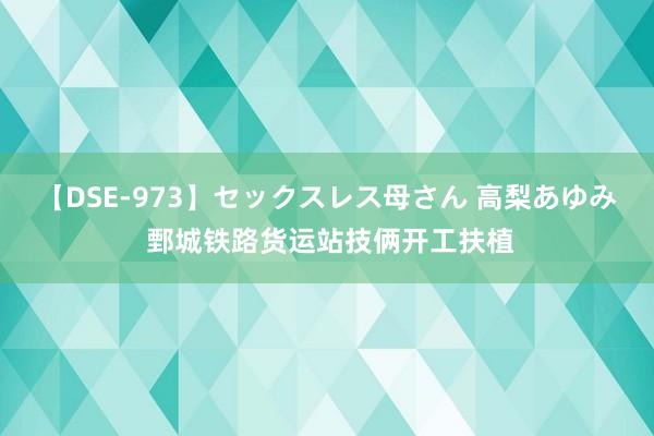 【DSE-973】セックスレス母さん 高梨あゆみ 鄄城铁路货运站技俩开工扶植