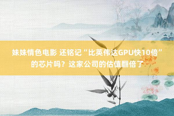 妹妹情色电影 还铭记“比英伟达GPU快10倍”的芯片吗？这家公司的估值翻倍了