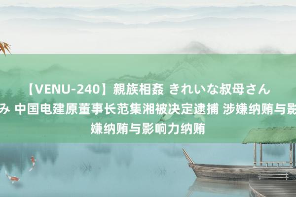 【VENU-240】親族相姦 きれいな叔母さん 高梨あゆみ 中国电建原董事长范集湘被决定逮捕 涉嫌纳贿与影响力纳贿