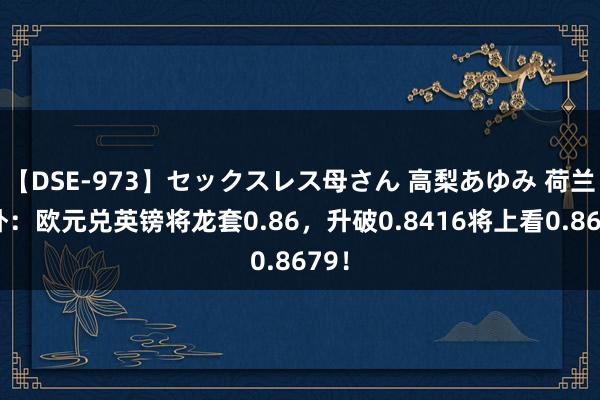 【DSE-973】セックスレス母さん 高梨あゆみ 荷兰海外：欧元兑英镑将龙套0.86，升破0.8416将上看0.8679！