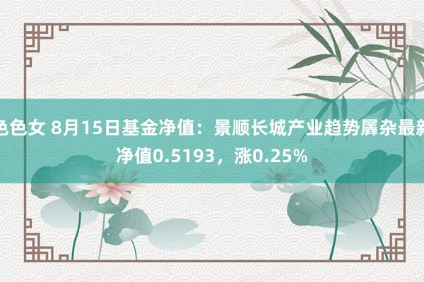 色色女 8月15日基金净值：景顺长城产业趋势羼杂最新净值0.5193，涨0.25%