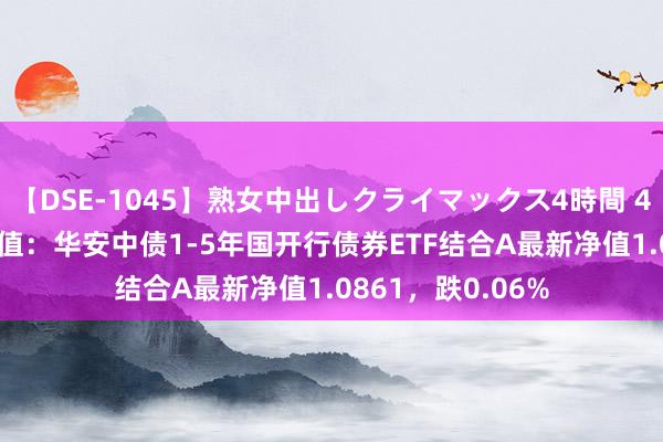 【DSE-1045】熟女中出しクライマックス4時間 4 8月15日基金净值：华安中债1-5年国开行债券ETF结合A最新净值1.0861，跌0.06%