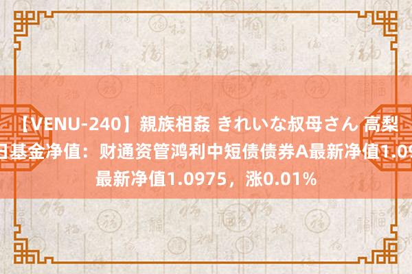 【VENU-240】親族相姦 きれいな叔母さん 高梨あゆみ 8月15日基金净值：财通资管鸿利中短债债券A最新净值1.0975，涨0.01%