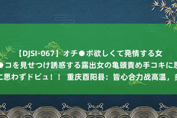 【DJSI-067】オチ●ポ欲しくて発情する女たち ところ構わずオマ●コを見せつけ誘惑する露出女の亀頭責め手コキに思わずドピュ！！ 重庆酉阳县：皆心合力战高温，多次序保险油茶产业坐蓐