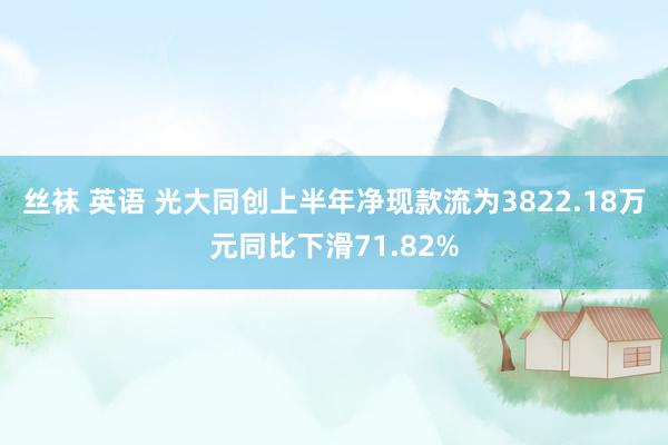 丝袜 英语 光大同创上半年净现款流为3822.18万元同比下滑71.82%